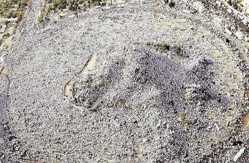 Foto-foto khusyuknya wukuf di Padang Arafah Foto-foto khusyuknya wukuf di Padang Arafah