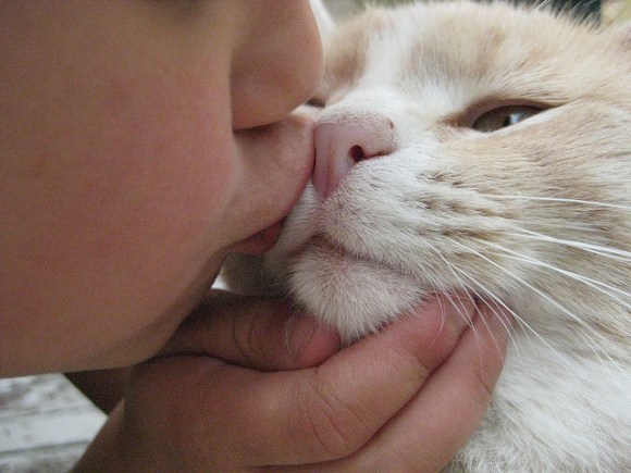 Kebiasaan mencium hewan peliharaan bisa sebabkan kanker perut