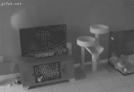 16 Kelakuan jahil kucing yang bikin gemes 