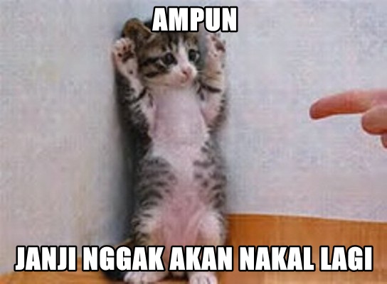 16 Kelakuan jahil kucing yang bikin gemes 