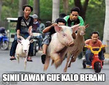 Meme-meme balap liar bikin ngekek nggak ketulungan  Meme-meme balap liar bikin ngekek nggak ketulungan