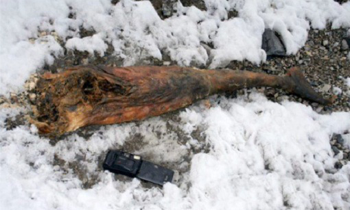 19 Jenazah ini diyakini masih tertinggal di Gunung Everest 19 Jenazah ini diyakini masih tertinggal di Gunung Everest