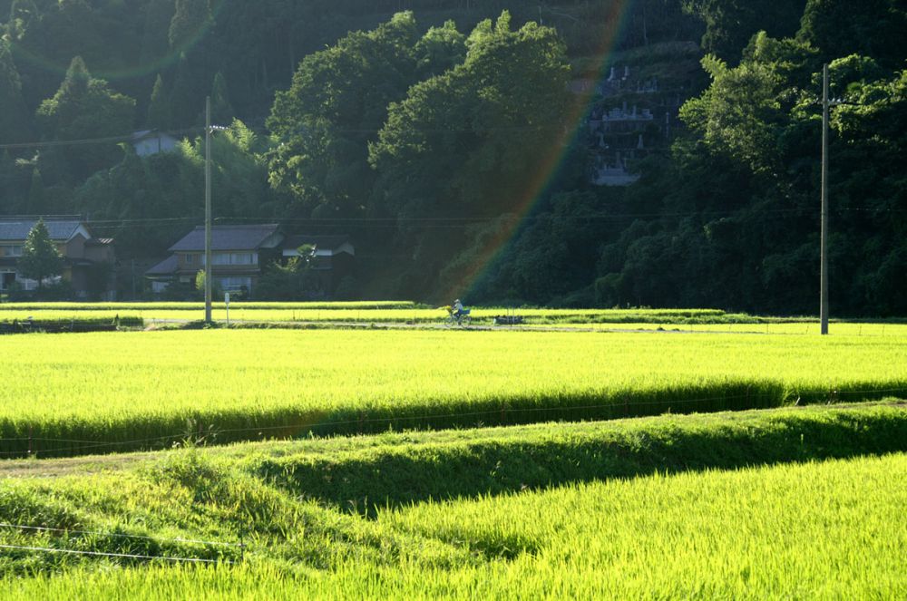 Ini 5 hal yang membuat pertanian di Jepang begitu maju