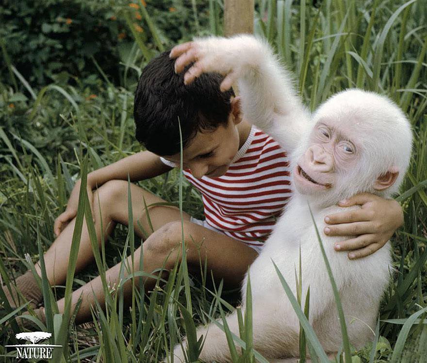 Tidak hanya manusia, hewan juga ada yang Albino