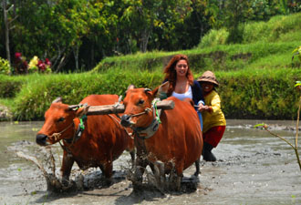 7 Tips piknik hemat untuk anak kos