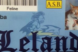 Saban hari mondar-mandir di sekolahan, kucing ini punya kartu pelajar