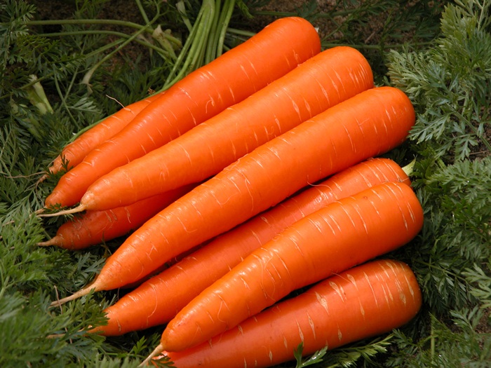 Kenali 7 rahasia kecantikan dari wortel
