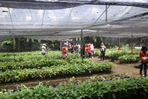 Sepuluh bulan berbisnis cokelat, omzetnya mencapai Rp 60 juta/hari