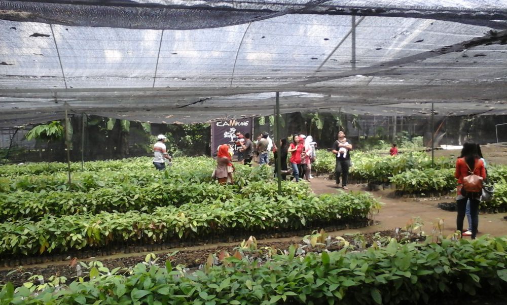 Sepuluh bulan berbisnis cokelat, omzetnya mencapai Rp 60 juta/hari