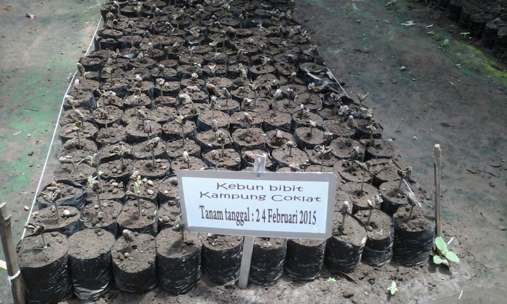 Sepuluh bulan berbisnis cokelat, omzetnya mencapai Rp 60 juta/hari