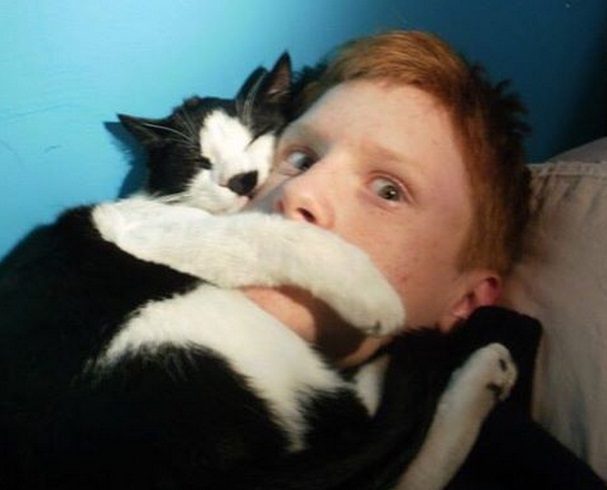 20 Hal ini cuma dirasakan orang yang pelihara kucing, ya nggak?