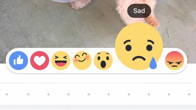 Fitur terbaru Facebook bentuknya bukan 'Dislike', tapi Emoji Reaction