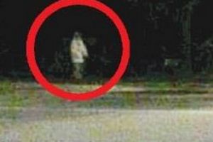 Purwanto melihat pocong, lari terbirit-birit