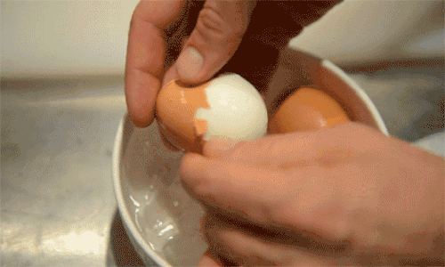 16 Fakta ini pasti bakal buat kamu pengen makan telur tiap hari, nyam!