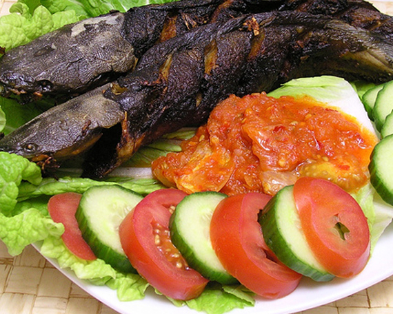 Jangan sepelekan ikan lele, khasiatnya untuk kesehatan dahsyat