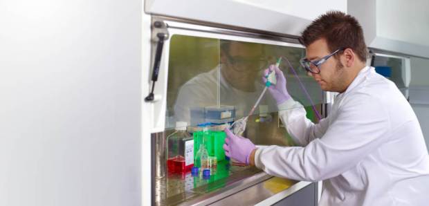 Penelitian terbaru, parasit malaria ternyata juga bisa obati kanker!