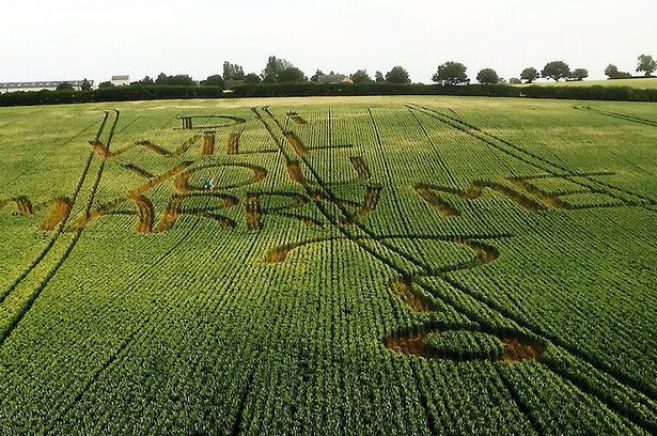 12 Lamaran pernikahan paling unik dan romantis, aduh so sweet banget!