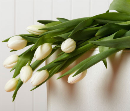 Ini dia karakter kamu yang suka warna putih