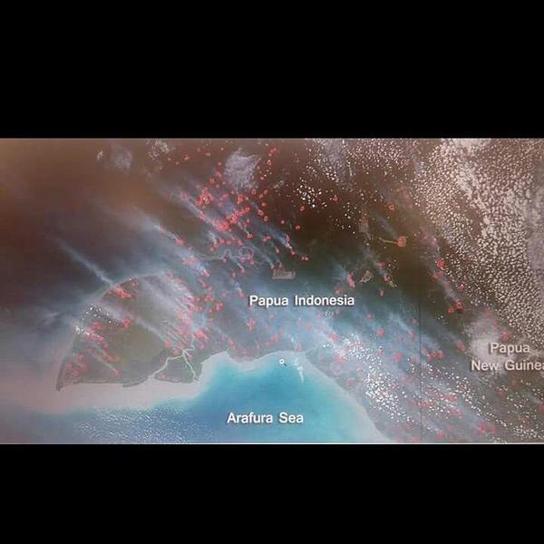 Giliran warga dan netizen Timika protes bencana asap Giliran warga dan netizen Timika protes bencana asap