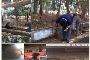 Layak dicontoh, Pemkot Bandung bersihkan coretan di dinding GBK