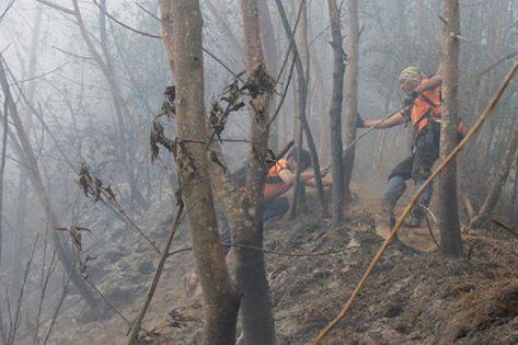 Tujuh pendaki tewas di Gunung Lawu akibat terjebak kebakaran hutan