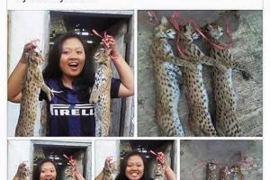 Mahasiswi PTN kok posting foto bunuh hewan langka, apa sebabnya ya?