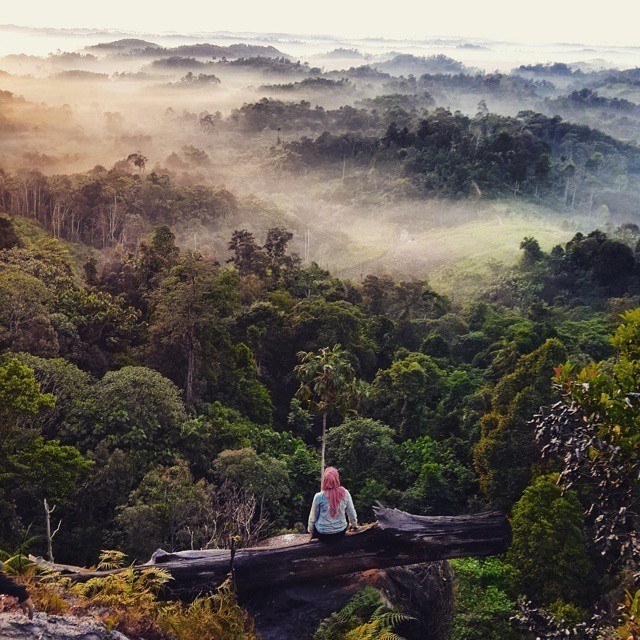 15 Bukit cantik ini ada di Indonesia, kamu percaya? 