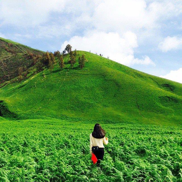 15 Bukit cantik ini ada di Indonesia, kamu percaya? 