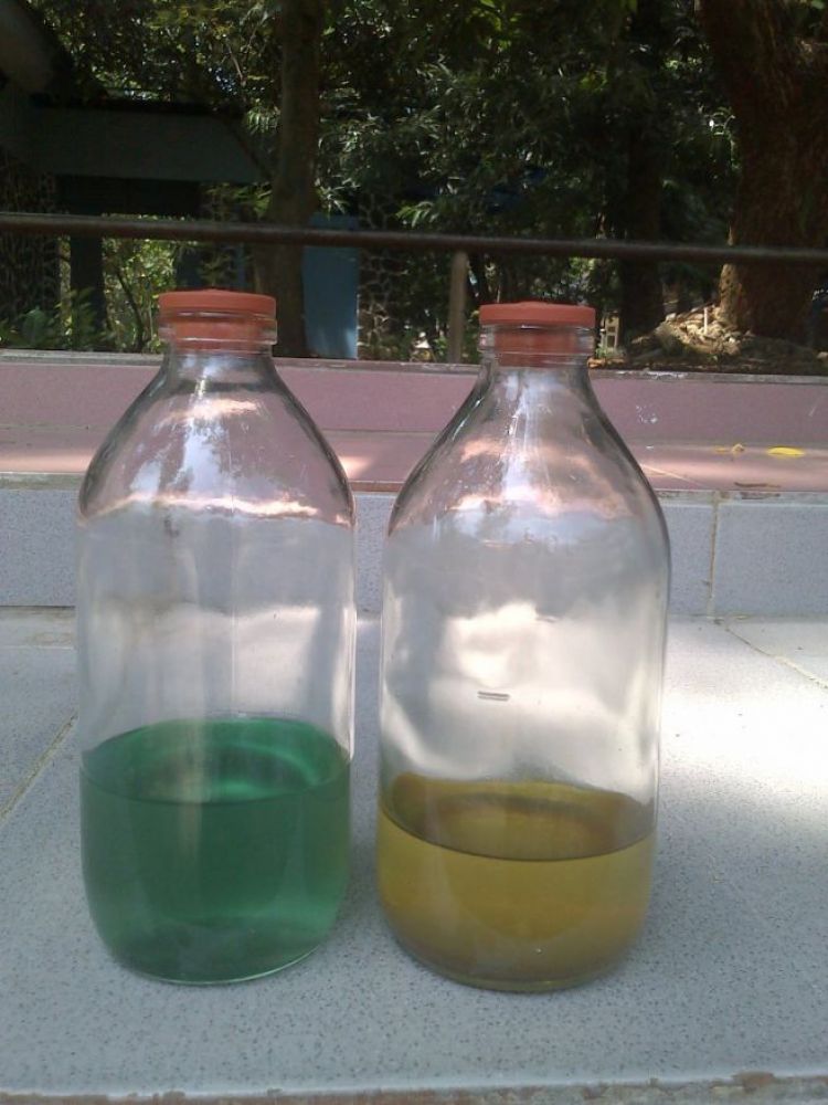 A new invention, plastic bags can be used for fuels