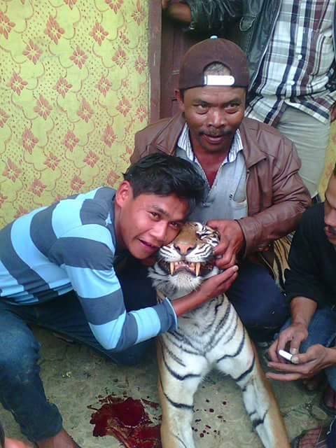 10 Foto kekejaman manusia pada binatang dilindungi, bikin miris!