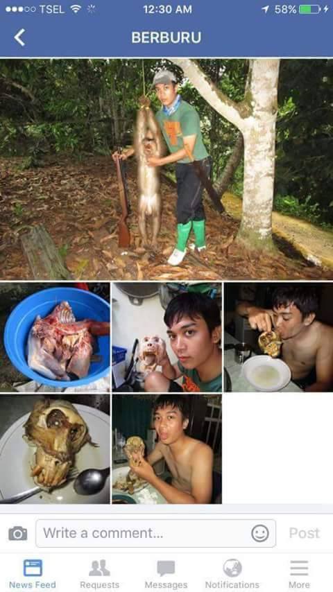 10 Foto kekejaman manusia pada binatang dilindungi, bikin miris!