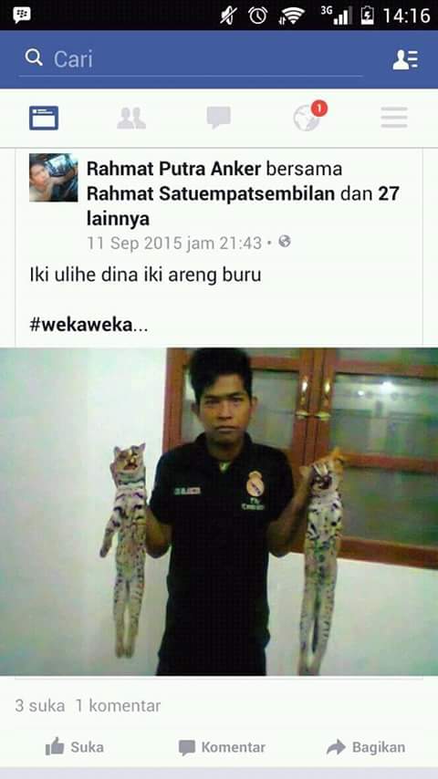 10 Foto kekejaman manusia pada binatang dilindungi, bikin miris!