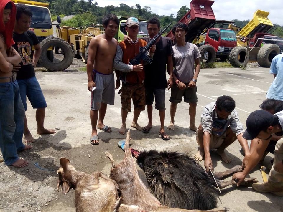 Bantai hewan dilindungi, pria ini bilang UU tidak berlaku di sini