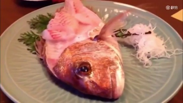 Ikan Sashimi ini melompat ketika hendak dimakan