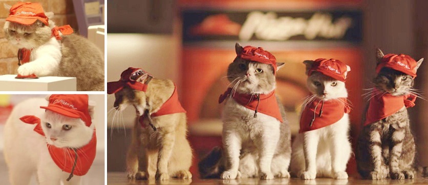 Sering makan, tapi belum tentu kamu tahu fakta unik Pizza Hut ini