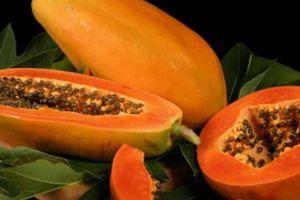 Mulai sekarang jangan buang biji buah pepaya, hhmm ada apa ya? 