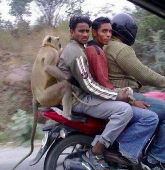 27 Foto konyol dan lucu yang hanya ada di India