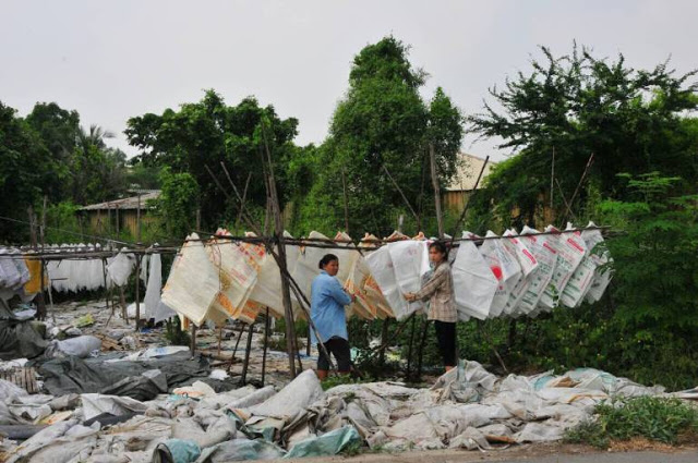 Dulunya pemungut sampah, sekarang gadis ini jadi ratu kecantikan