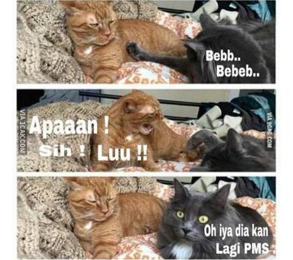 25 Meme cewek lagi PMS yang bisa bikin kamu jadi senyum-senyum sendiri 25 Meme cewek lagi PMS yang bisa bikin kamu jadi senyum-senyum sendiri