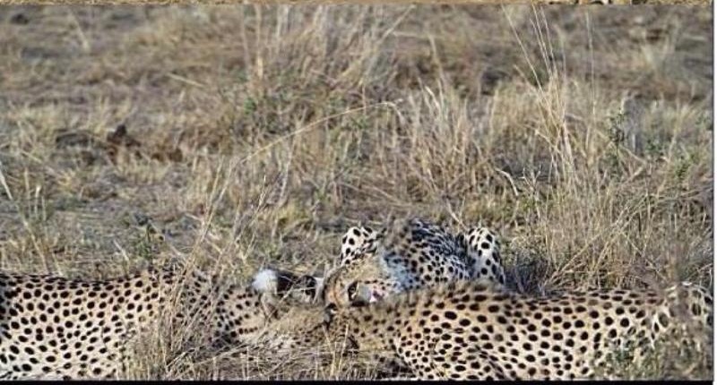 Foto-foto ini jadi bukti kalau realita dunia tak seindah film kartun