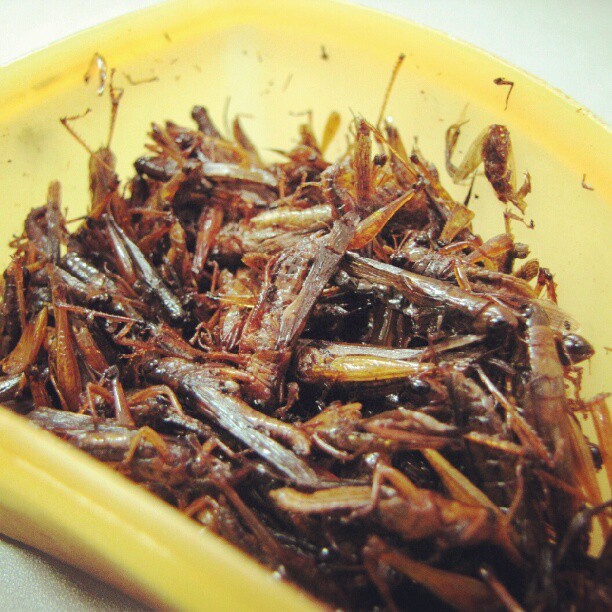 20 Pantai eksotis di bibir Samudera Hindia, Gunungkidul Jogja 20 Pantai eksotis di bibir Samudera Hindia, Gunungkidul Jogja