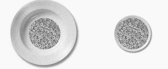 Piring kecil bisa bantu kamu turunkan berat badan lho, percaya nggak?