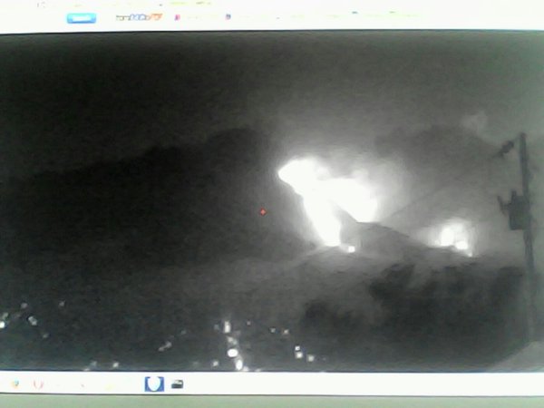 Hutan Gunung Merapi di jalur Selo kembali terbakar