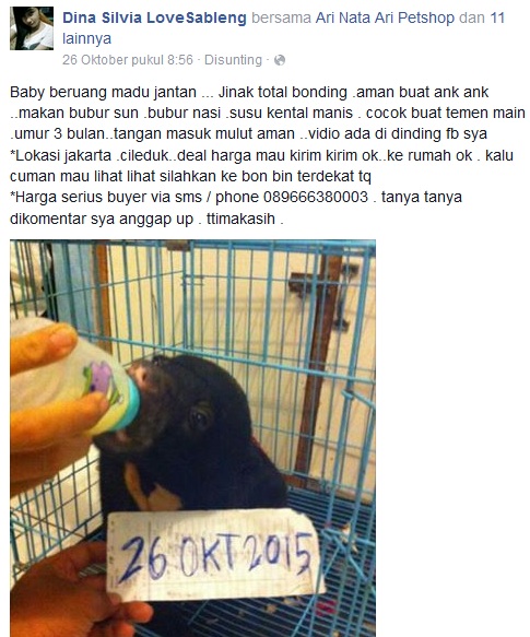 Waduh! Cewek cantik ini jualan hewan-hewan dilindungi