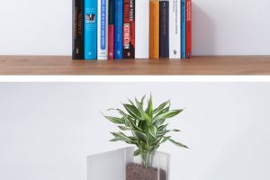 30 Kreasi pot unik nan lucu buat kamu yang hobi berkebun