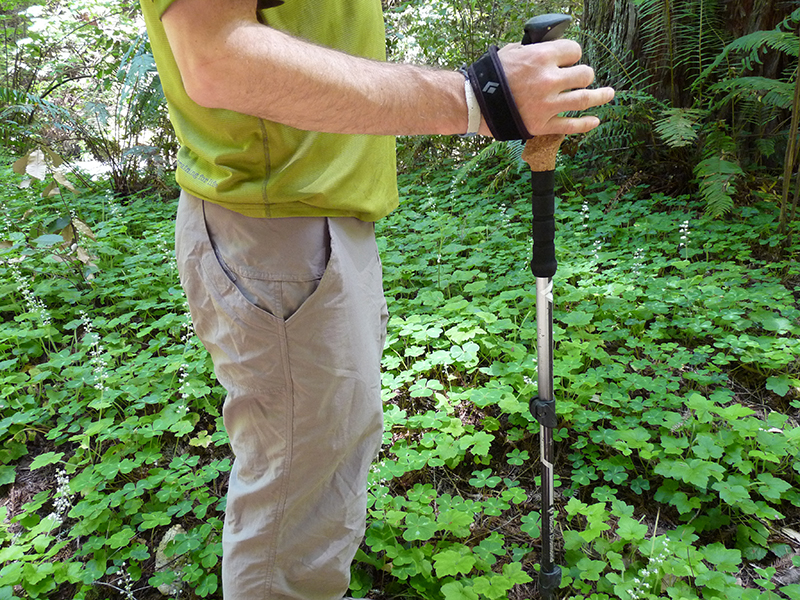 Tetap ingin mendaki saat musim hujan? Coba terapkan 10 tips ini