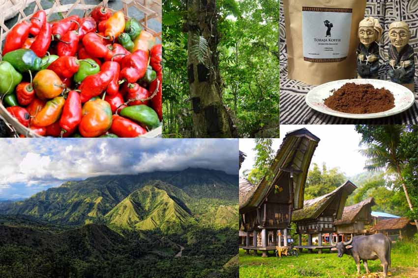 10 Kota berhawa sejuk di Indonesia yang siap menyambut ...