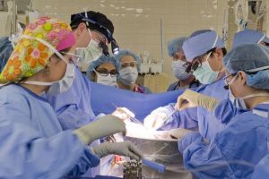 Fakta-fakta yang perlu kamu tahu tentang transplantasi hati