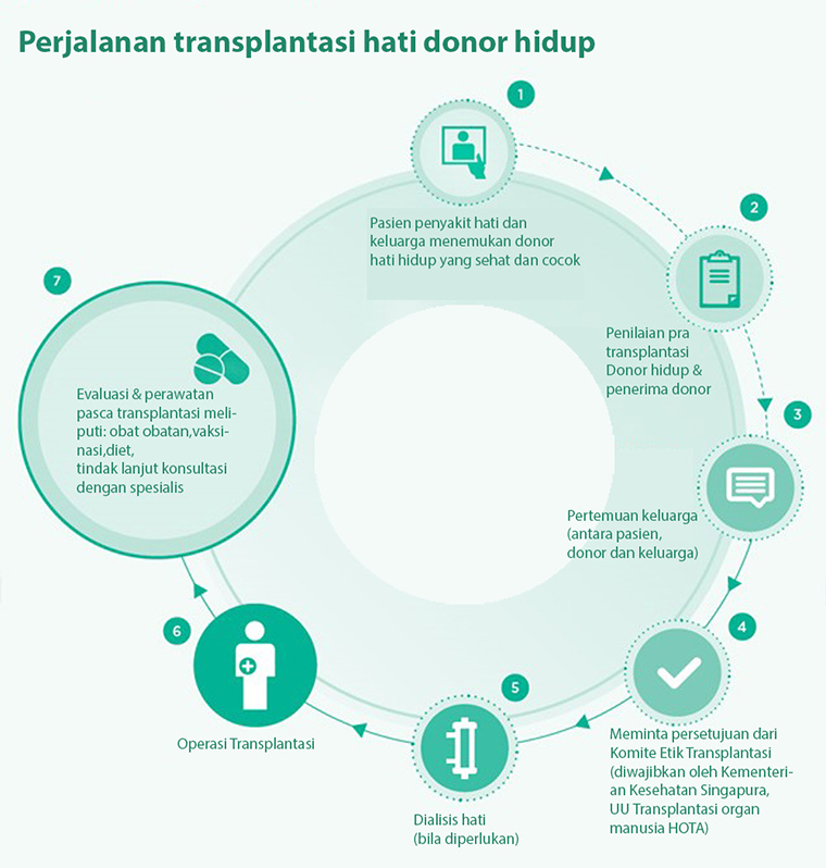 Fakta-fakta yang perlu kamu tahu tentang transplantasi hati