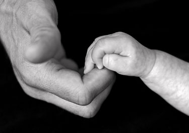 Fakta-fakta yang perlu kamu tahu tentang transplantasi hati